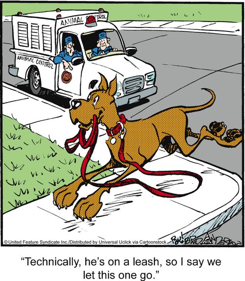 'Technically, he's on a leash, so I say we let this one go.'