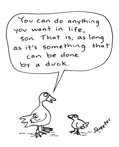 "You can do anything in life, son... as long as it's something that can be done by a duck."