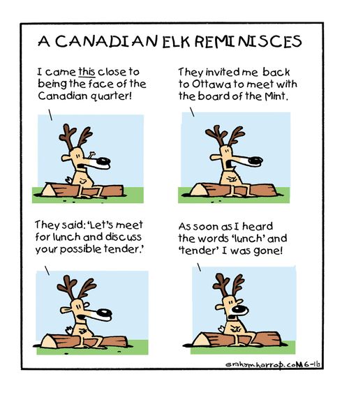A Canadian Elk Reminisces