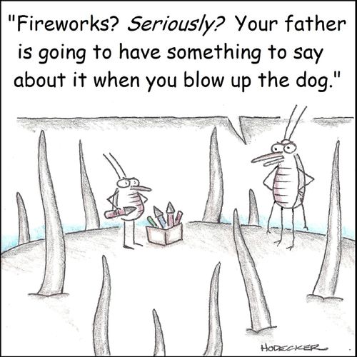 'Fireworks? Seriously? Your father is going to have something to say about it when you blow up the dog.'