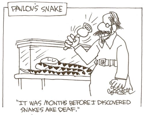 Pavlov's snake: 'It was months before I discovered snakes are deaf.'
