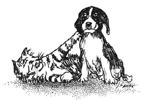 Dog and Cat.