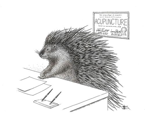 Porcupine Acupuncture