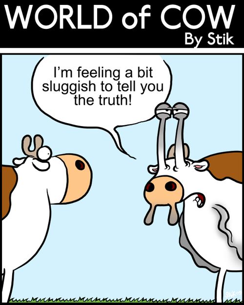 I'm feeling a bit sluggish to tell you the truth!