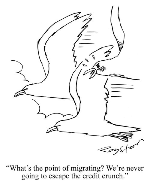Flying bird says: 'What's the point of migrating? We're never going to escape the credit crunch.'