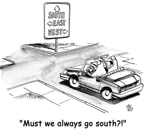 'Must we always go south?!'