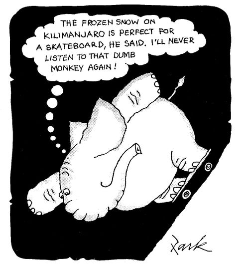 'The frozen snow on Kilimanjaro is perfect for a skateboard, he said. I'll never listen to that dumb monkey again!' 