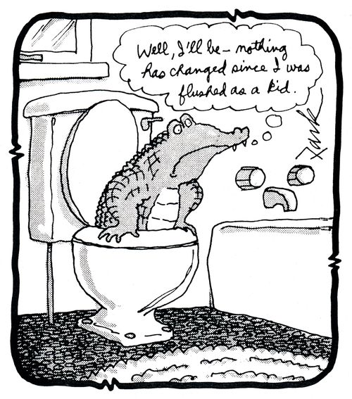 'Well, I'll be - Nothing has changed since I was flushed as a kid.'