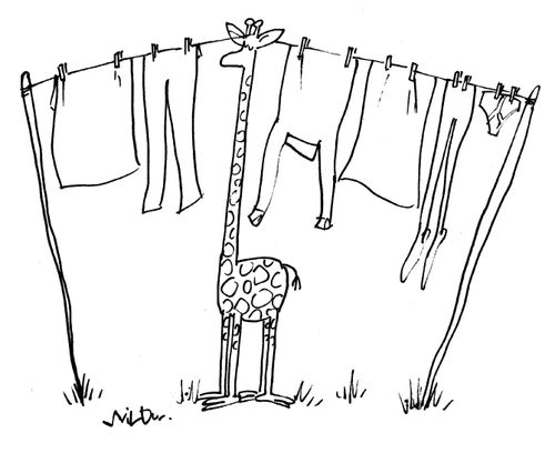 Giraffe holding up the washing line.