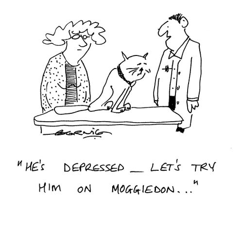 'He's depressed - let's try him on Moddiedon...'
