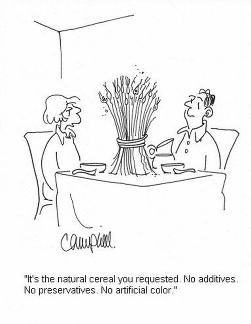 'It's the natural cereal you requested. No additives. No preservatives. No artificial color.'