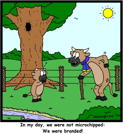 'In my day, we were not microchipped: We were branded!'