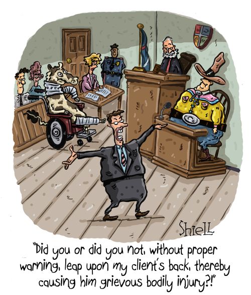 "Did you or did you not, without proper warning, leap upon my client's back, thereby causing him grievous bodily injury?!"