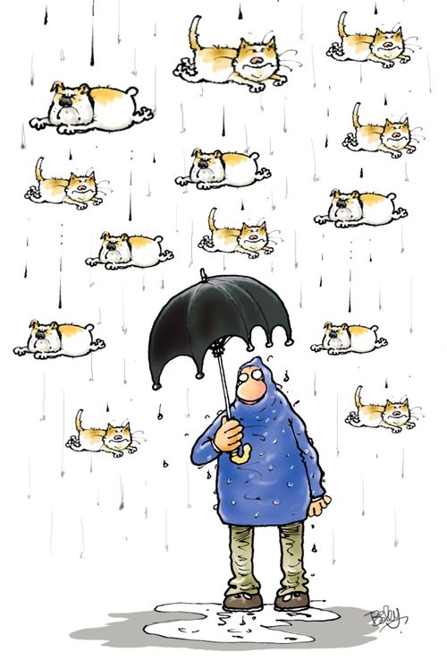 Raining cats and dogs.