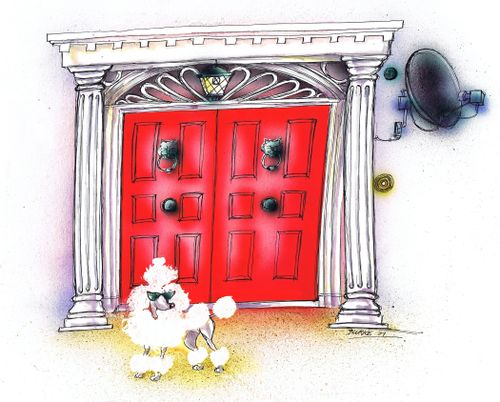 Celebrity Poodle.
