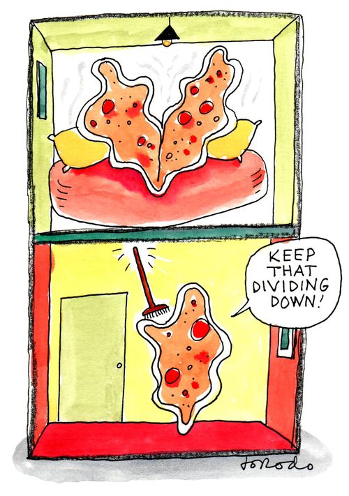'Keep that dividing down!'