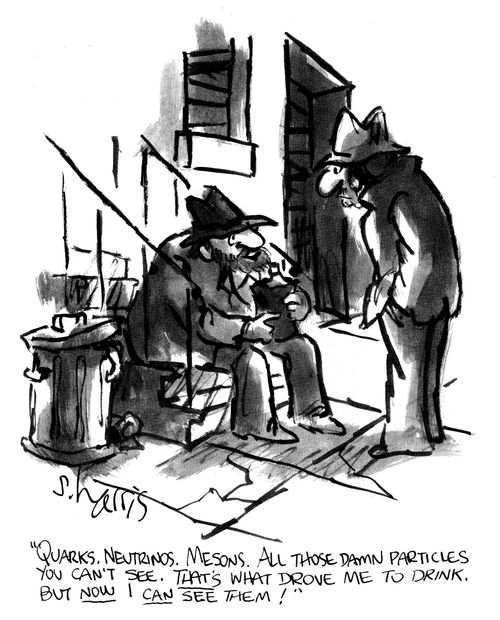 'Quarks, neturinos, mesons.  All those damn particles you can't see.  That's what drove me to drink.  But now i can see them!'