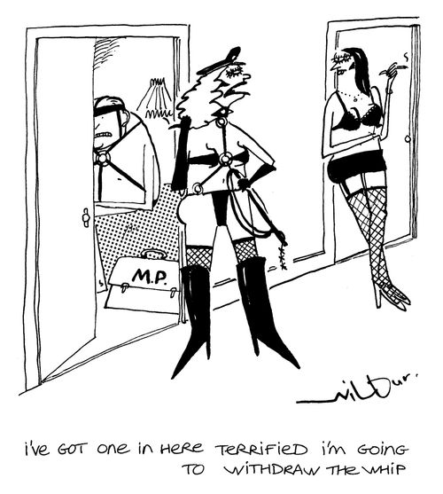 'I've got one in here terrified I'm going to withdraw the whip.'