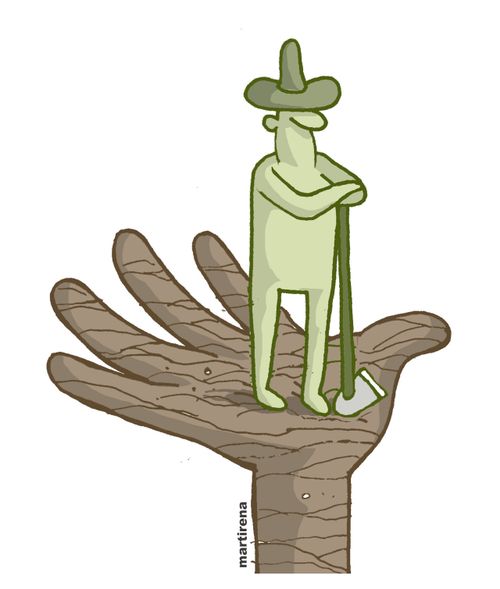 Man cultivating land