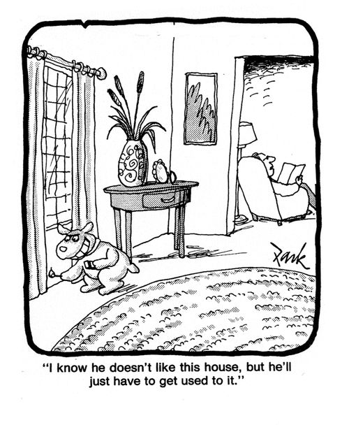 'I know he doesn't like this house, but he'll just have to get used to it.'