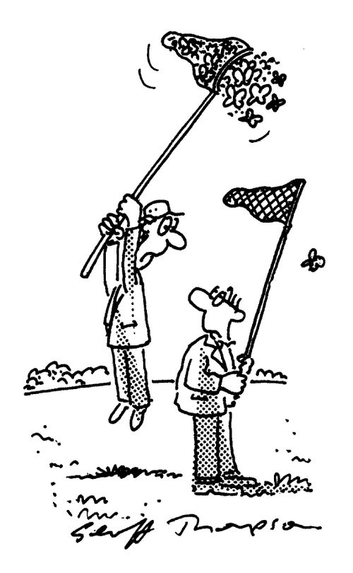 butterfly collector being lifted by butterflys