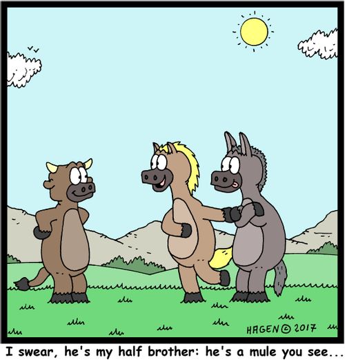 "I swear, he's my half brother: he's a mule you see..."