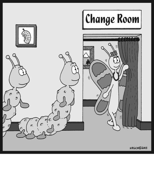 Visual Gag: Change room for caterpillars