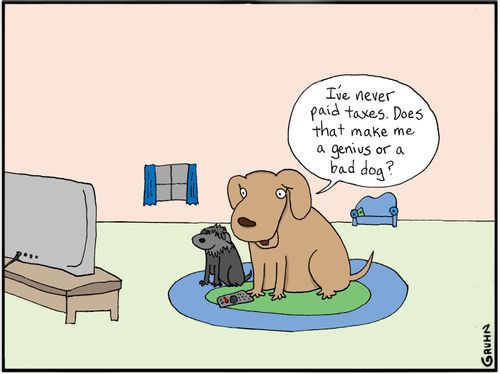 "I've never paid taxes. Does that make me a genius or a bad dog?"