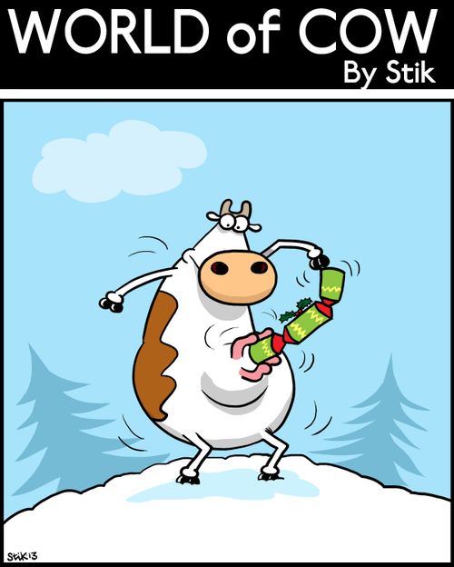 Lonely Christmas Cow