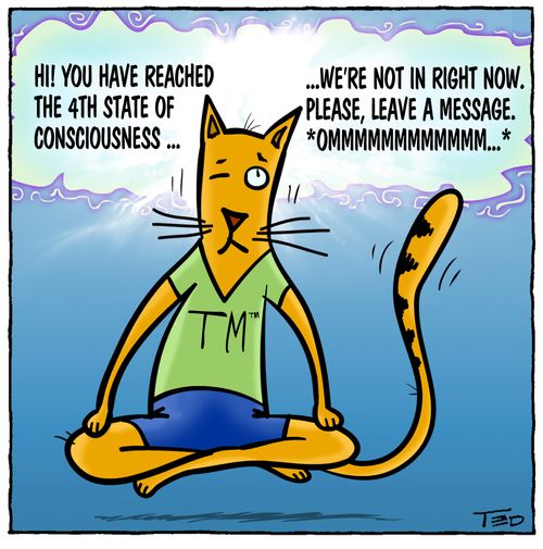Meditating cat. 'Hi! You have reached the 4th state of consciousness. We're not in right now...