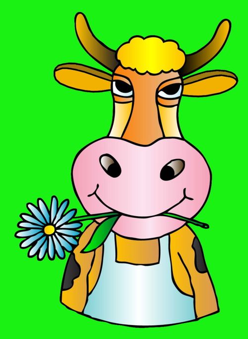 Cow