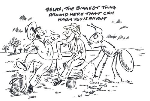 'Relax, the largest thing around here that can harm you is an ant.'