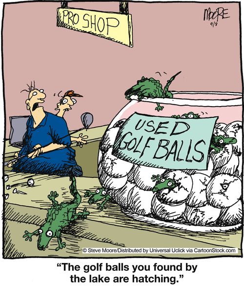 'The golf balls you found by the lake are hatching.'