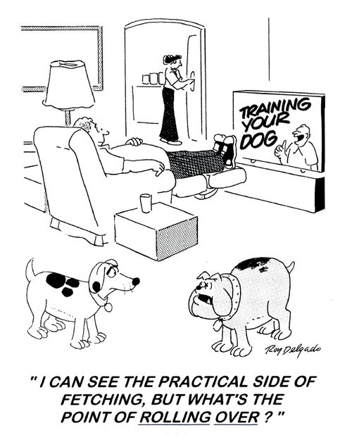 'I can see the practical side of fetching, but what's the point of rolling over?'