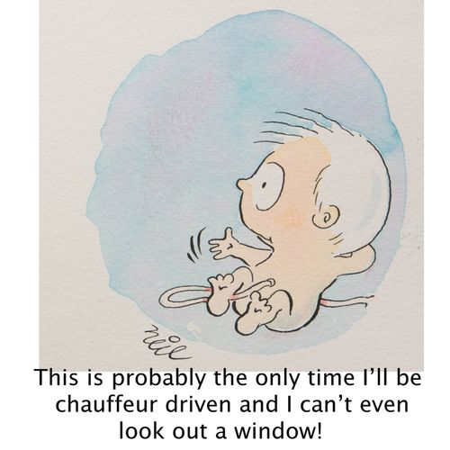 'This is probably the only time I'll be chauffeur driven and I can't even look out the window!'
