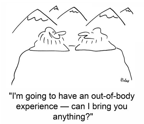 'I'm going to have an out-of-body experience -- can I bring you anything?'