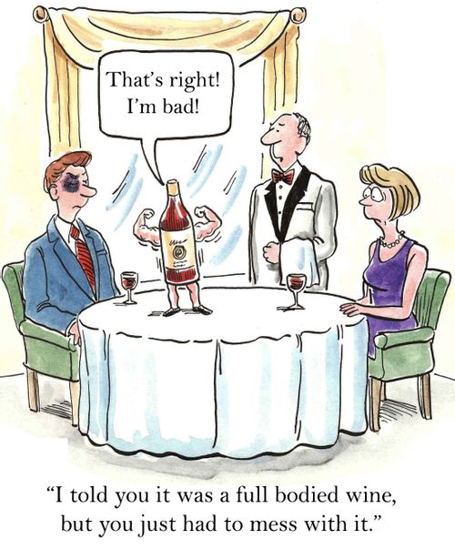 'I told you it was a full bodied wine, but you just had to mess with it.'