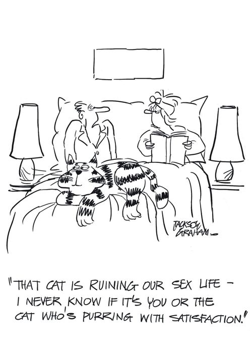 'That cat is ruining our sex life-I never know if it's you or the cat who's purring with satisfaction.' 