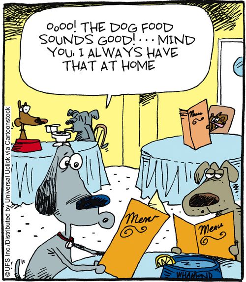 'Ooo! The dog food sounds good! ... mind you, I always have that at home.'