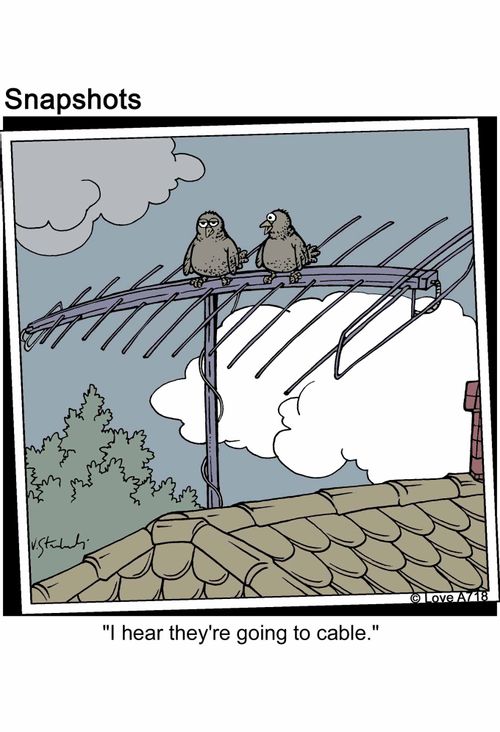 'I hear they're going to cable.'