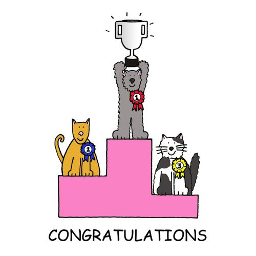 Cat show success.
