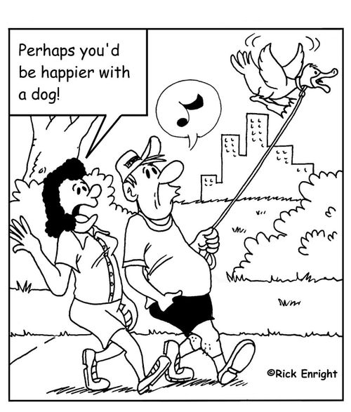 'Perhaps you'd be happier with a dog!'