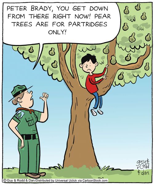 'Peter Brady, you get down from there right now! Pear trees are for partridges only!'