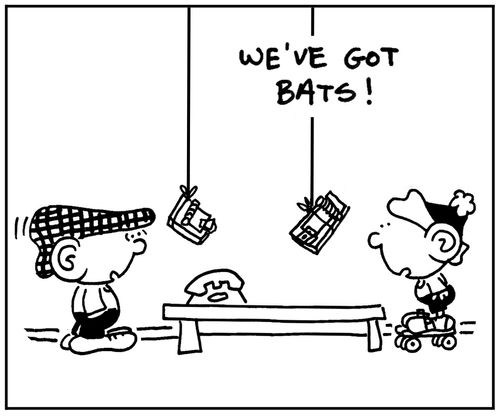 'We've got bats.'