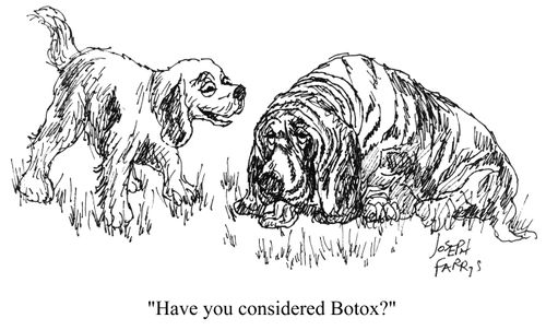 'Have you considered Botox?'