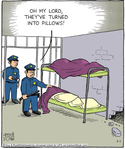 'Oh my lord, they've turned into pillows!'