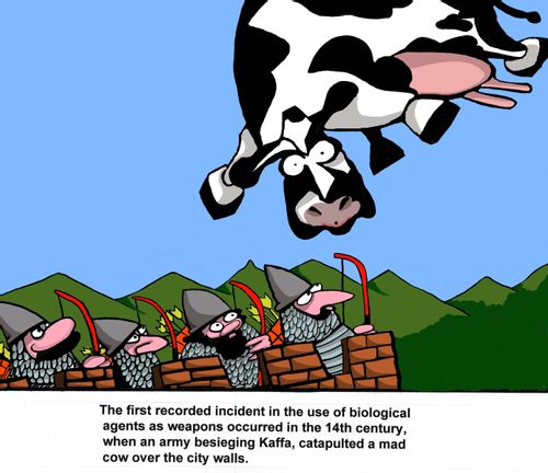 The first recorded incident in the use of biological agents as weapons occurred in the 14th century, when an army besieging Kaffa, catapulted a mad cow over the city walls.