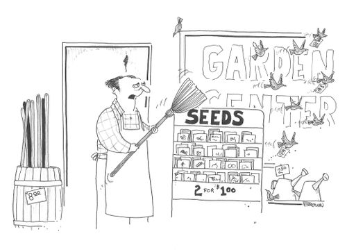 Garden store owner chasing away birds from his seed display.