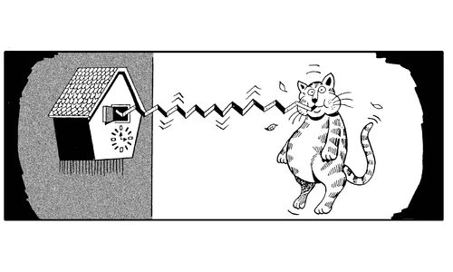 Cat gets caught eating the cuckoo from a cuckoo clock.