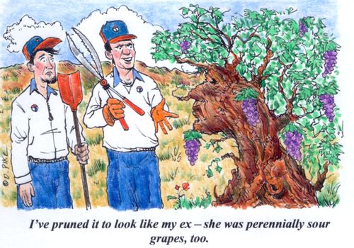 'I've pruned it to look like my ex - she was perennially sour grapes, too.'